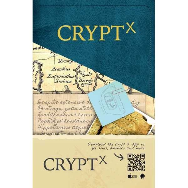 boardplayx3209384