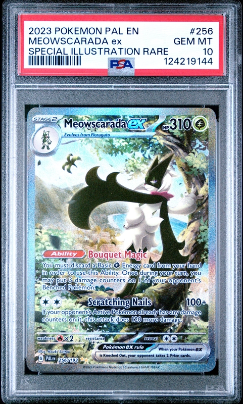 cardshq279043