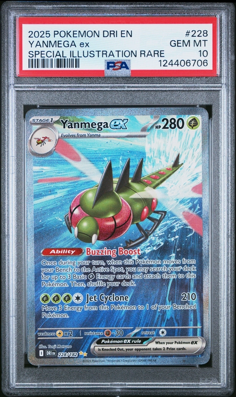 cardshq279116