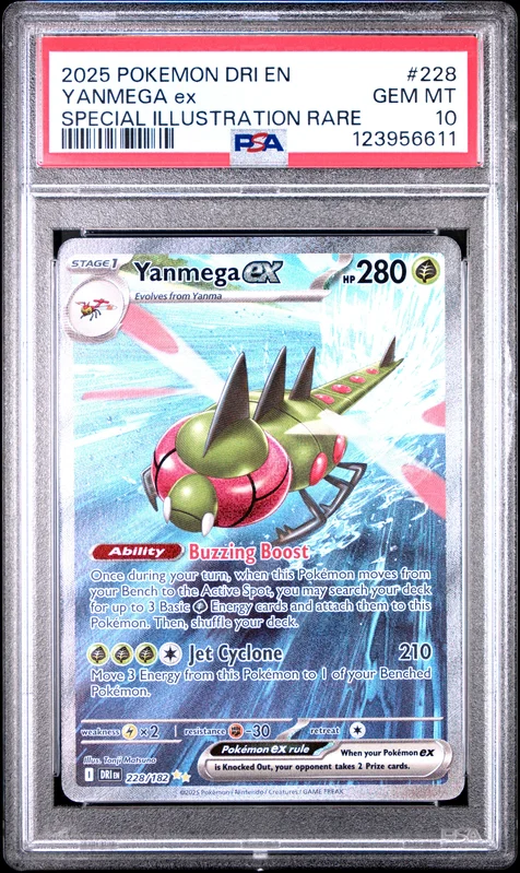 cardshq83524