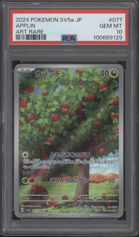 collectorstore104512