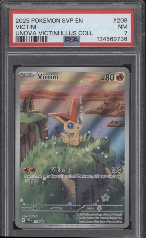 collectorstore203563
