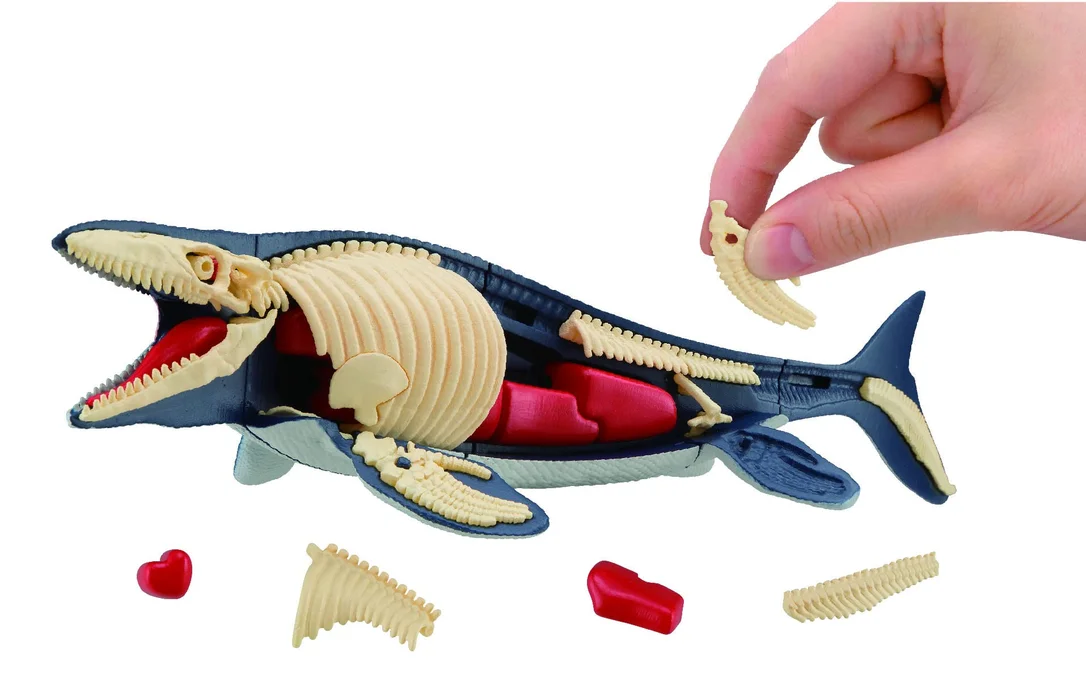 japan-figure12948