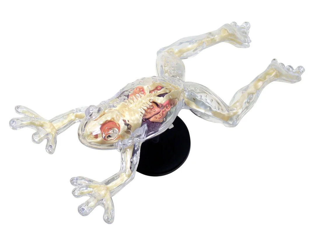 japan-figure45429