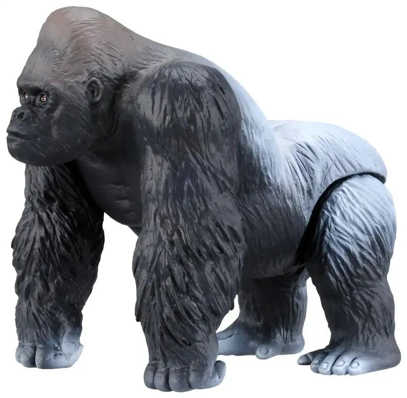 japan-figure61298