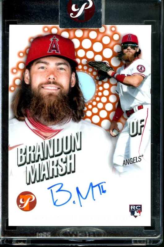 tradingcardmarket2813035