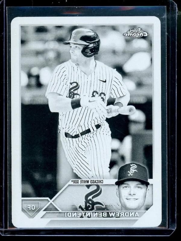tradingcardmarket2952853