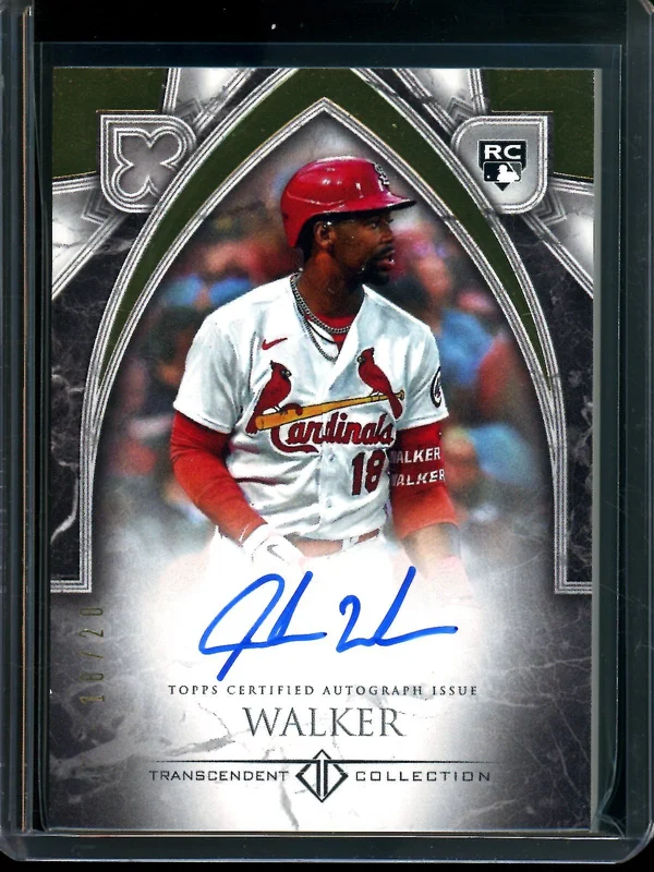tradingcardmarket2956036